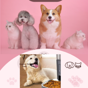 Pink Simple Creative Pet Shop Flyer